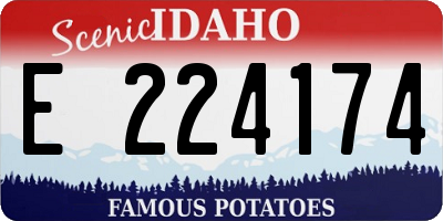 ID license plate E224174