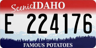 ID license plate E224176