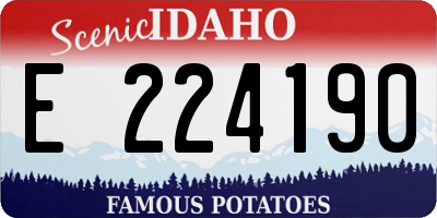 ID license plate E224190