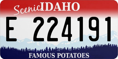 ID license plate E224191