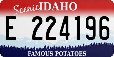 ID license plate E224196