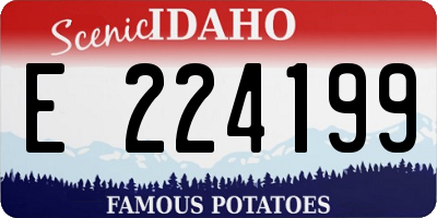 ID license plate E224199