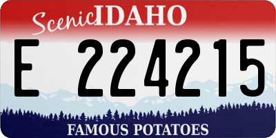 ID license plate E224215