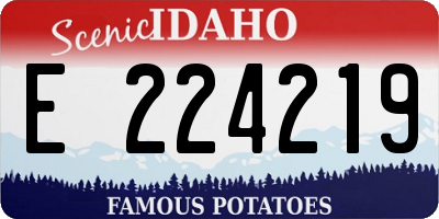 ID license plate E224219