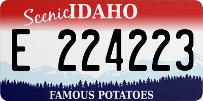 ID license plate E224223