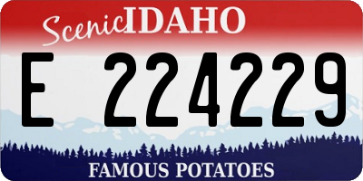ID license plate E224229