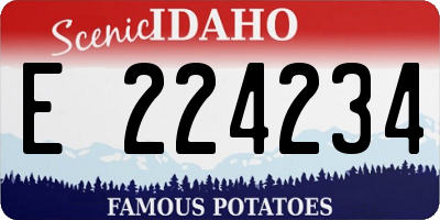 ID license plate E224234