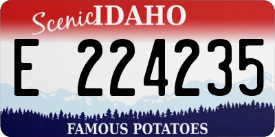 ID license plate E224235