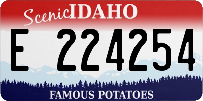 ID license plate E224254