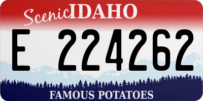 ID license plate E224262