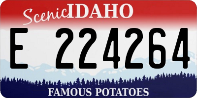 ID license plate E224264