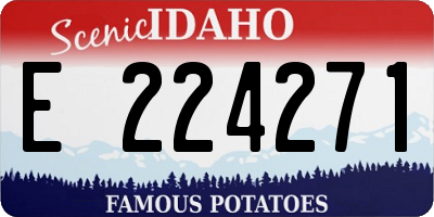 ID license plate E224271
