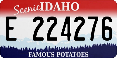 ID license plate E224276