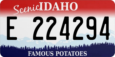 ID license plate E224294