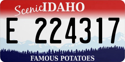 ID license plate E224317