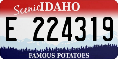 ID license plate E224319