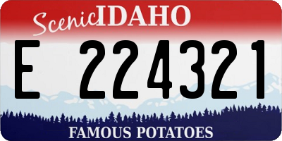 ID license plate E224321