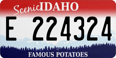 ID license plate E224324