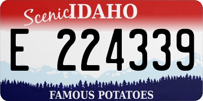 ID license plate E224339