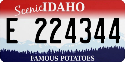ID license plate E224344
