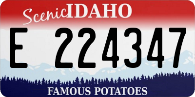 ID license plate E224347