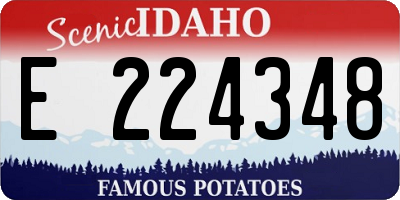 ID license plate E224348
