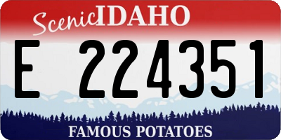 ID license plate E224351