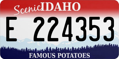 ID license plate E224353