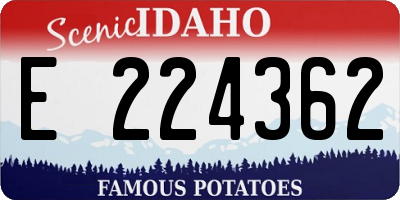 ID license plate E224362