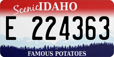 ID license plate E224363