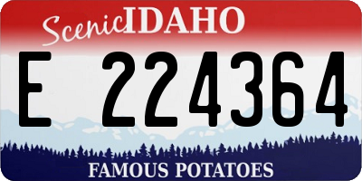 ID license plate E224364