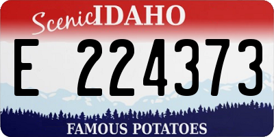 ID license plate E224373