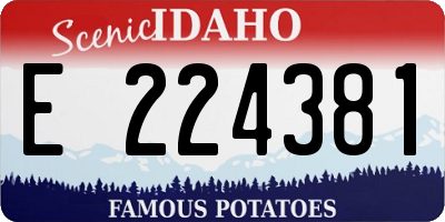 ID license plate E224381