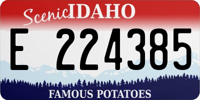 ID license plate E224385