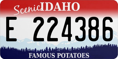 ID license plate E224386