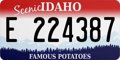 ID license plate E224387