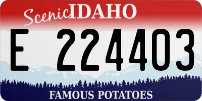 ID license plate E224403
