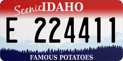 ID license plate E224411
