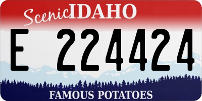 ID license plate E224424