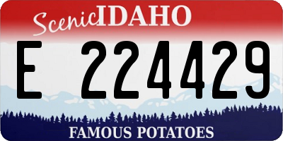 ID license plate E224429
