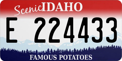 ID license plate E224433