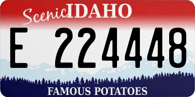 ID license plate E224448
