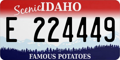 ID license plate E224449