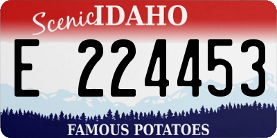 ID license plate E224453