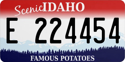 ID license plate E224454