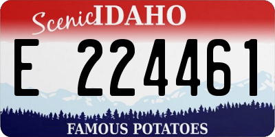 ID license plate E224461