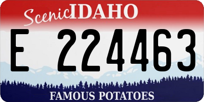 ID license plate E224463
