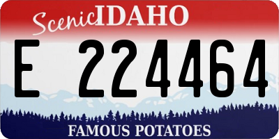 ID license plate E224464