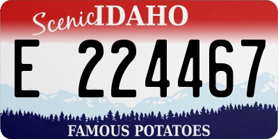 ID license plate E224467