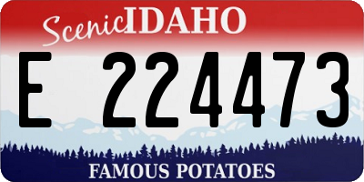 ID license plate E224473